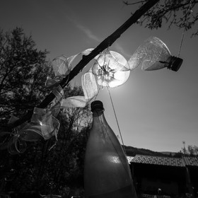 27 octobre 2019 : pommes, soupes et gâteaux