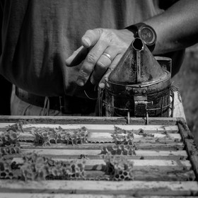 Visite au Rucher des Noisetiers