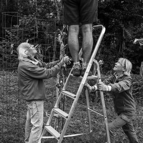 21 août 2019 : installation d'une oeuvre en bois flotté