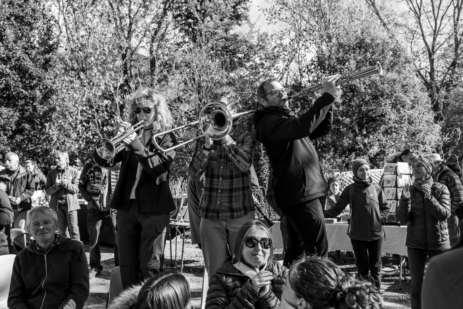 26 octobre 2025 : Les oiseaux de trottoir