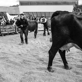 Rencontres paysannes à Saint-Bonnet en Champsaur