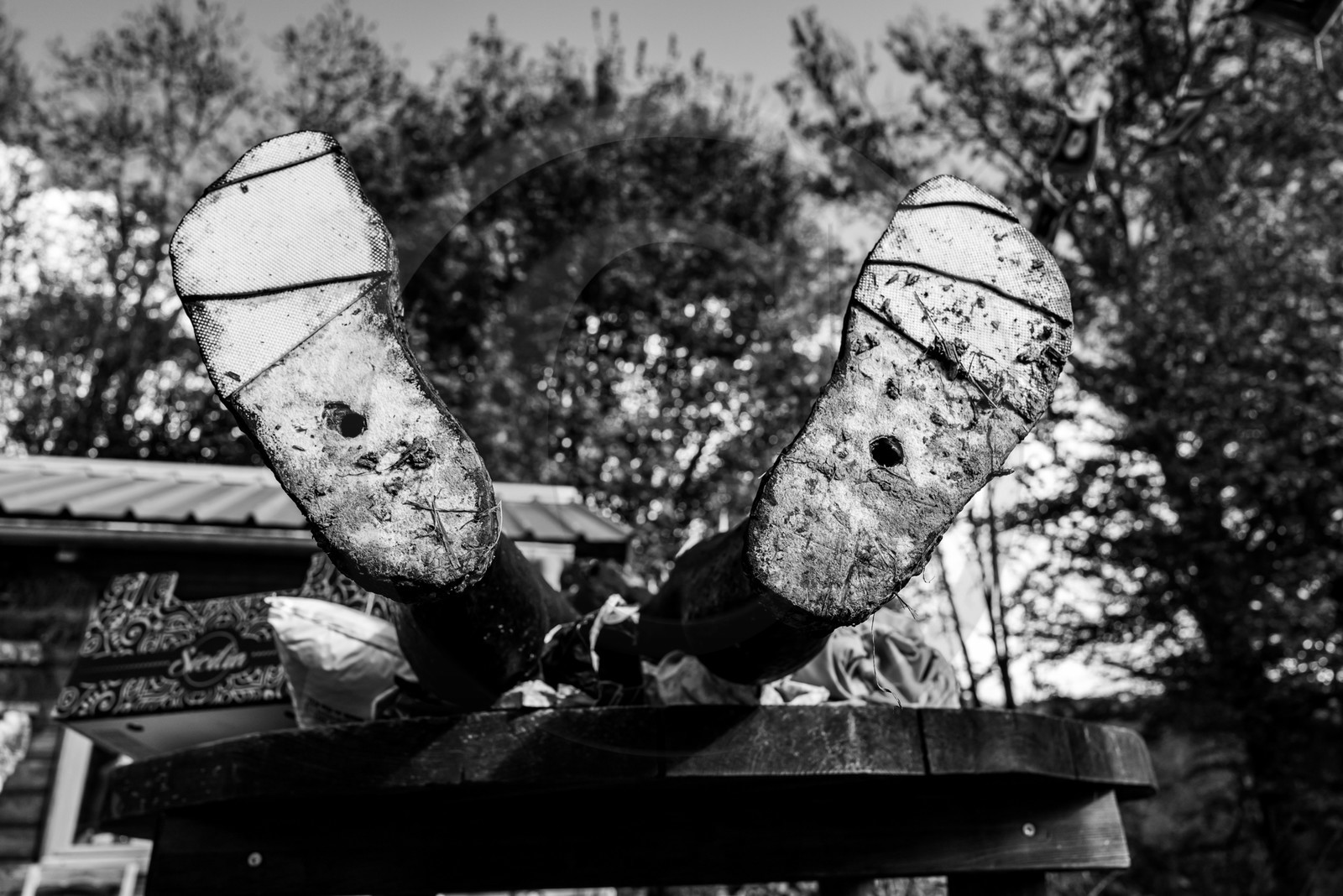 Exposition La forêt d'hommes, une création de Barbara Fougnon, artiste plasticienne