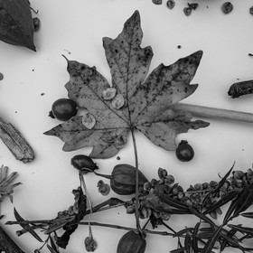 12 octobre 2022 : Land Art à l'Ouort