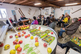 Croqueurs de pommes des Alpes Latines