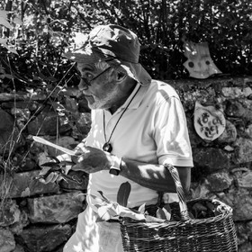 29 juin 2022 : Découverte des plantes sauvages