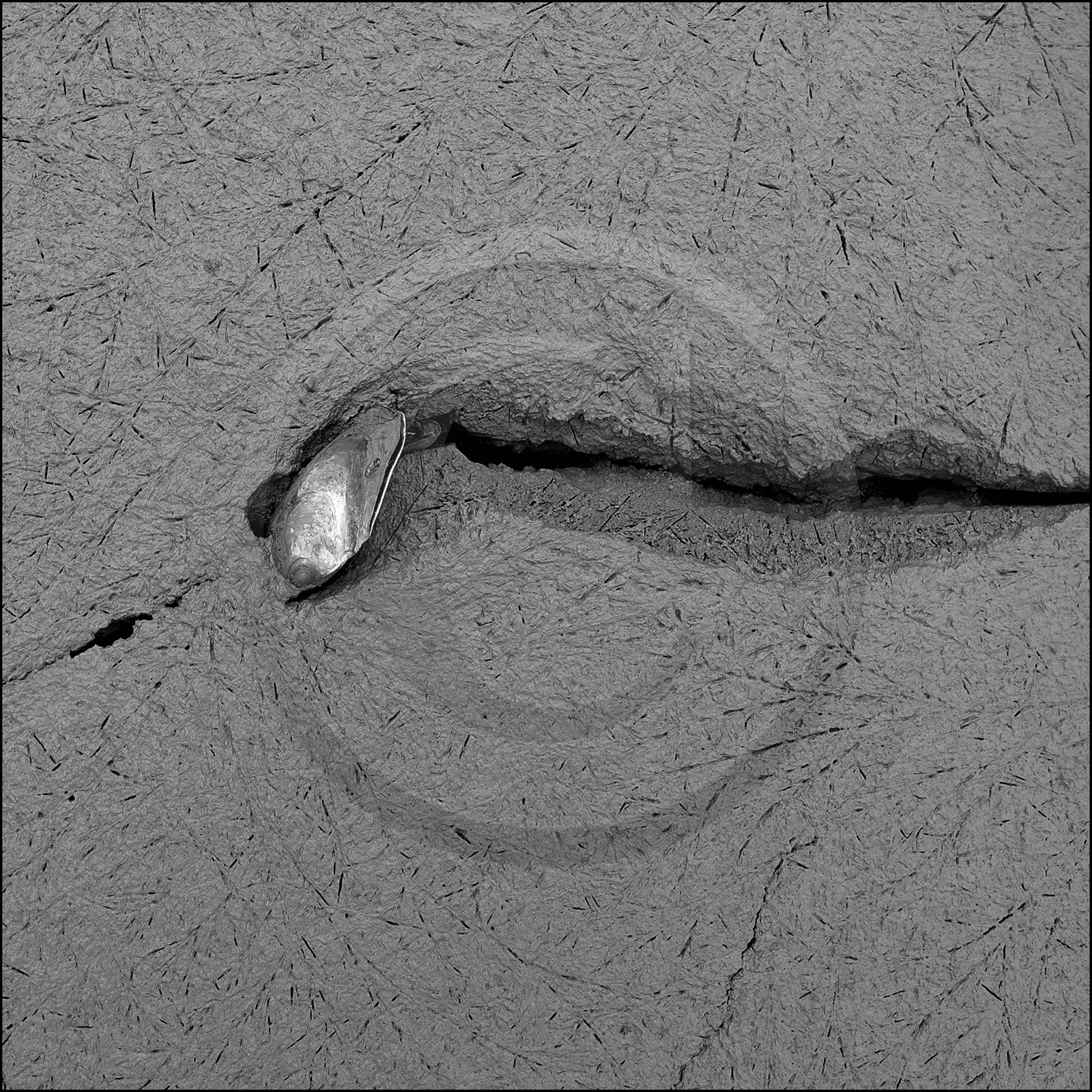 Serre-Ponçon, basses eaux