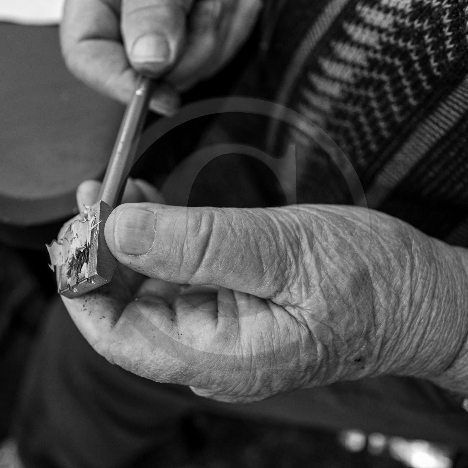 09 août 2023 : HydrOlique au jardin