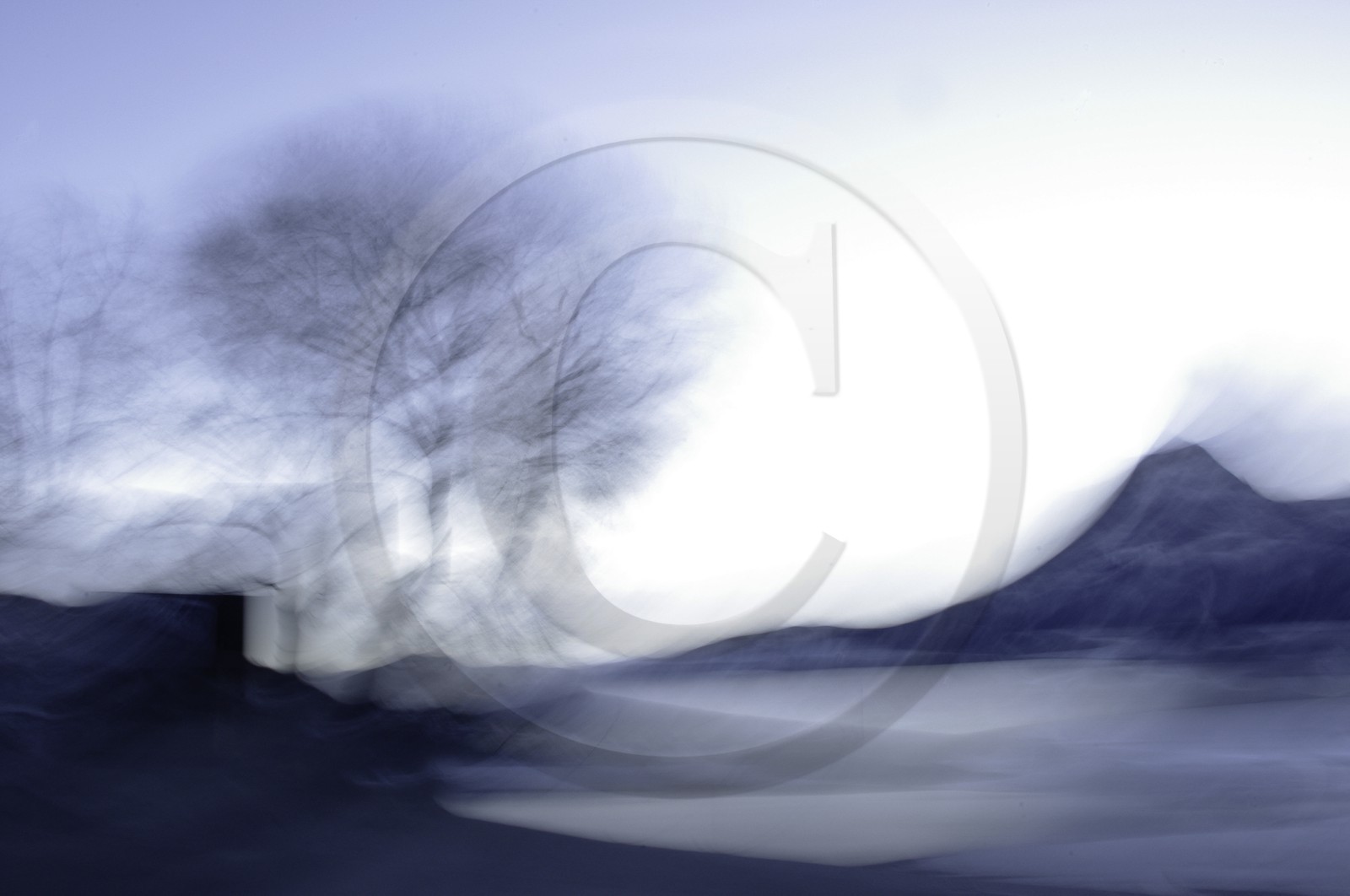 Le Pays des Arbres Flous