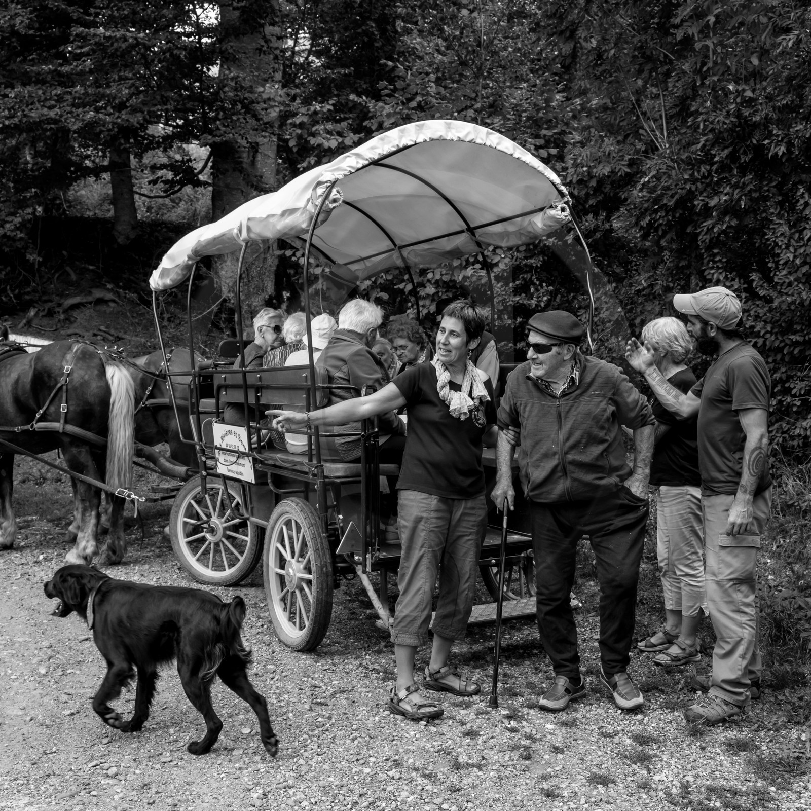 Promenade en calèche et contes