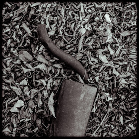 Un cimetière de voitures