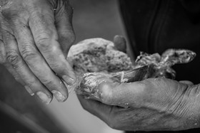 16 mai 2025 : Journée des aidants