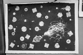 13 septembre 2024 : Journée des aidants - Ateliers créatifs