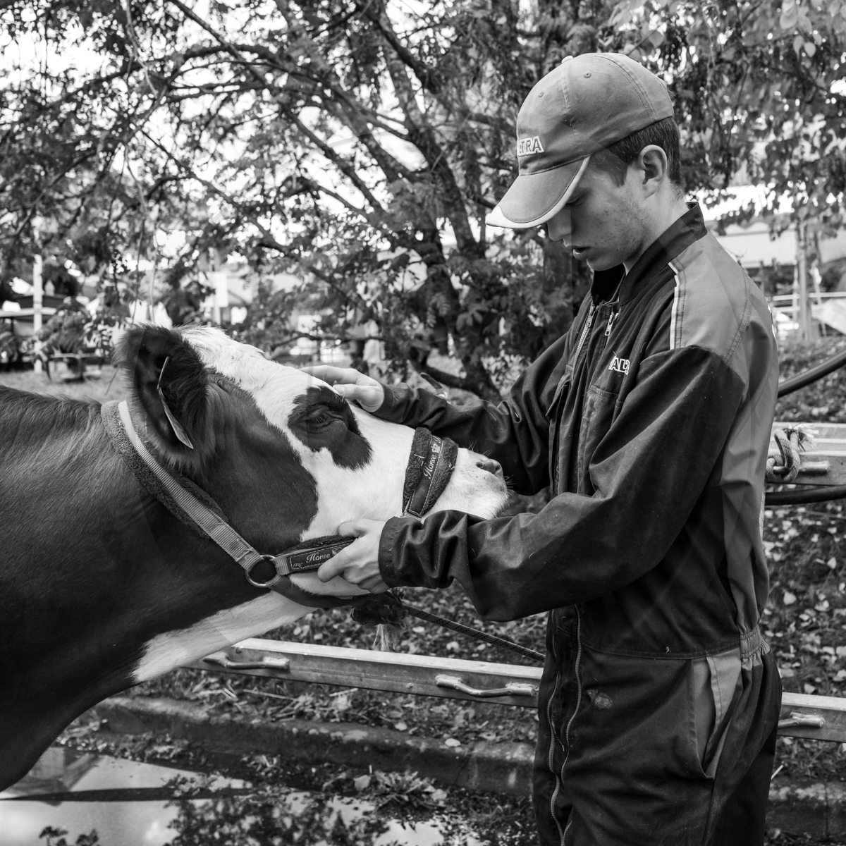 Rencontres paysannes à Saint-Bonnet en Champsaur