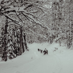 La Valgaude Traineau 2015