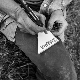 01 mai 2024 : chants, laine et jardinage