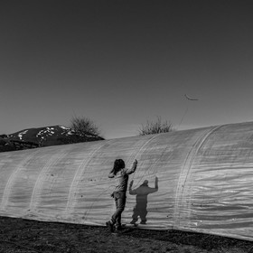 Montage de serres tunnel
