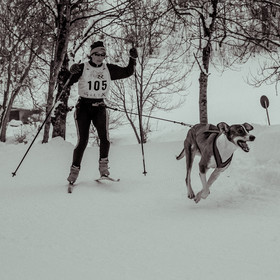 La Valgaude Traineau 2015