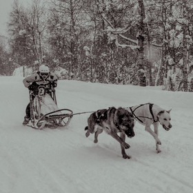 La Valgaude Traineau 2015