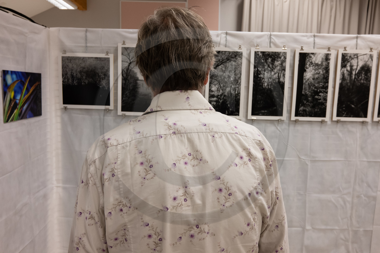 Automne photographique en Champsaur 2019 - Henri Bosco