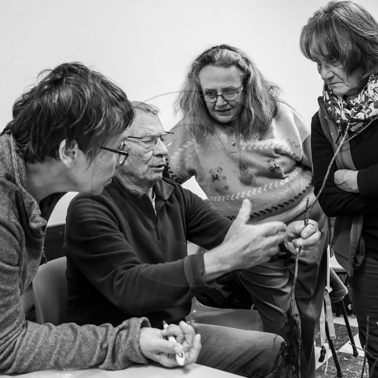 03 avril 2019 : Initiation à la greffe d'arbres fruitiers