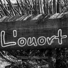 13 avril 2022 : épouvantails et petites graines