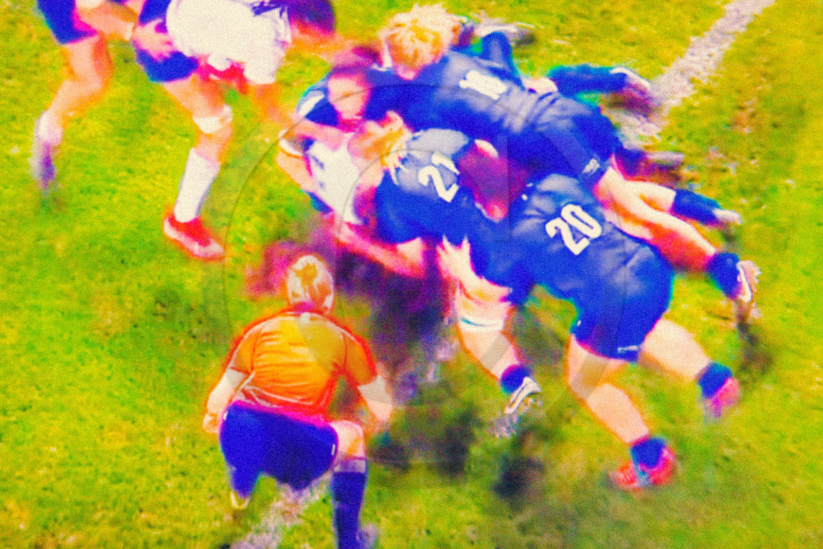 Rugby féminin