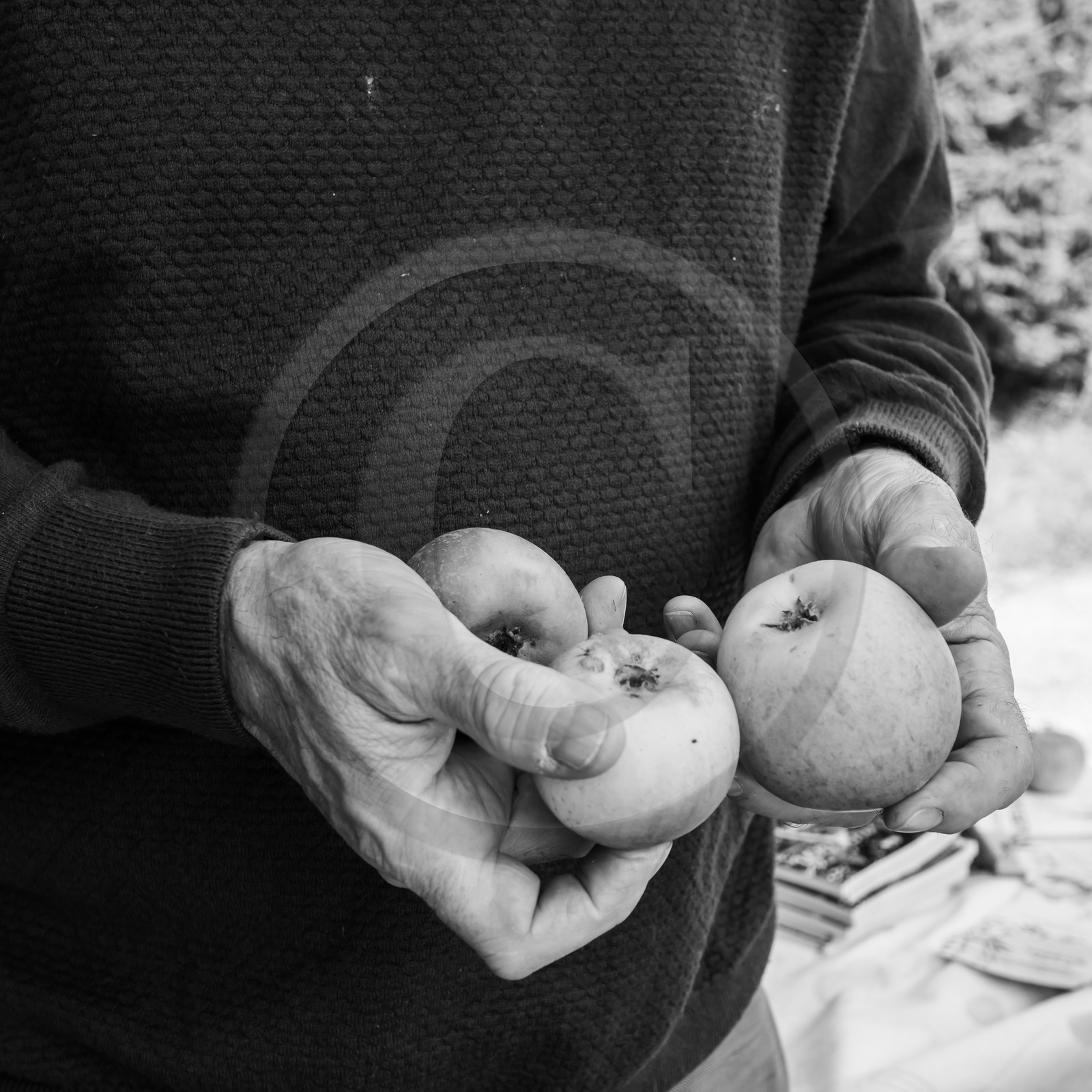 27 octobre 2019 : pommes, soupes et gâteaux