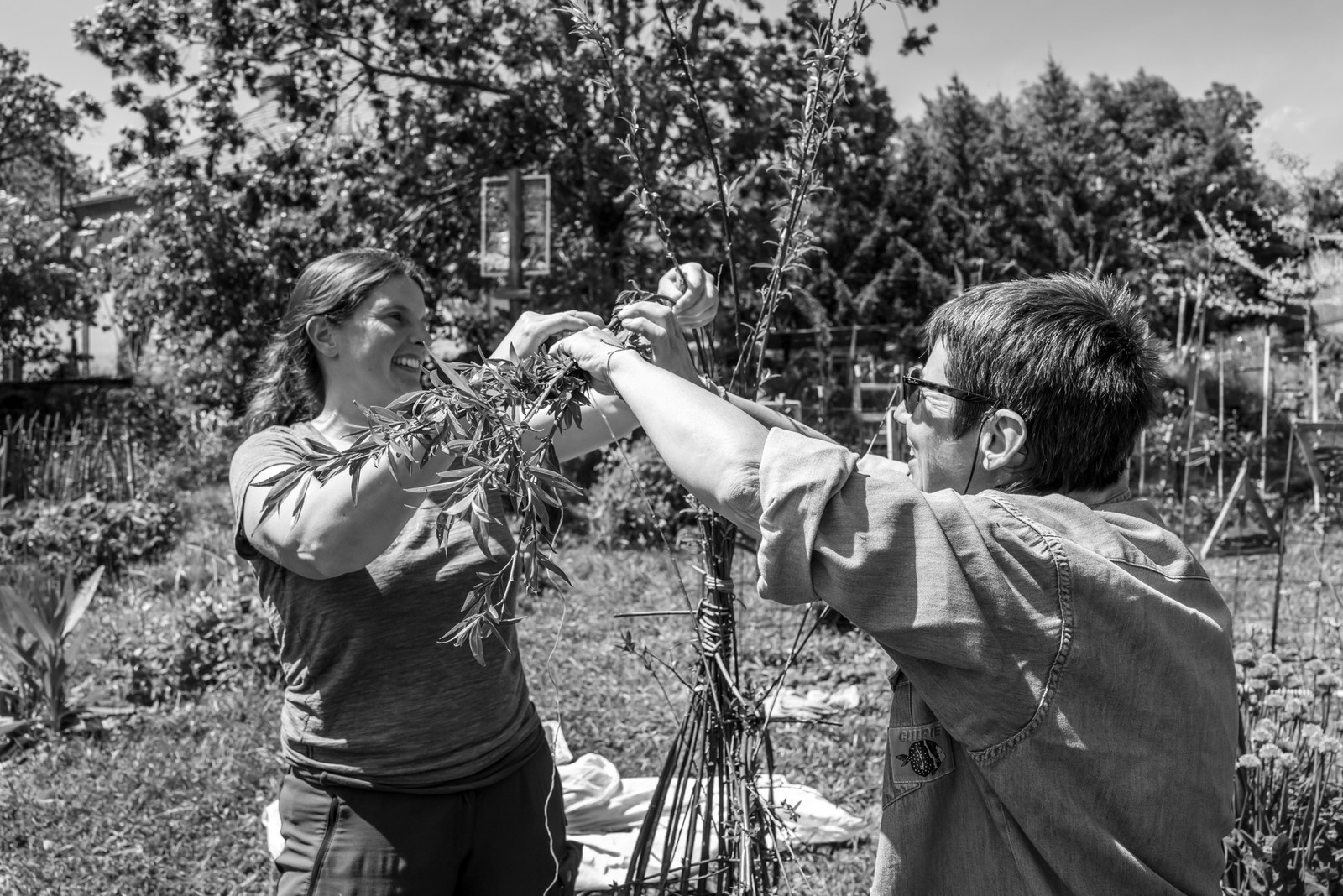 28 mai 2025 : Jeux, Osier, Photos, Jardinage...