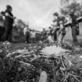 27 octobre 2019 : pommes, soupes et gâteaux