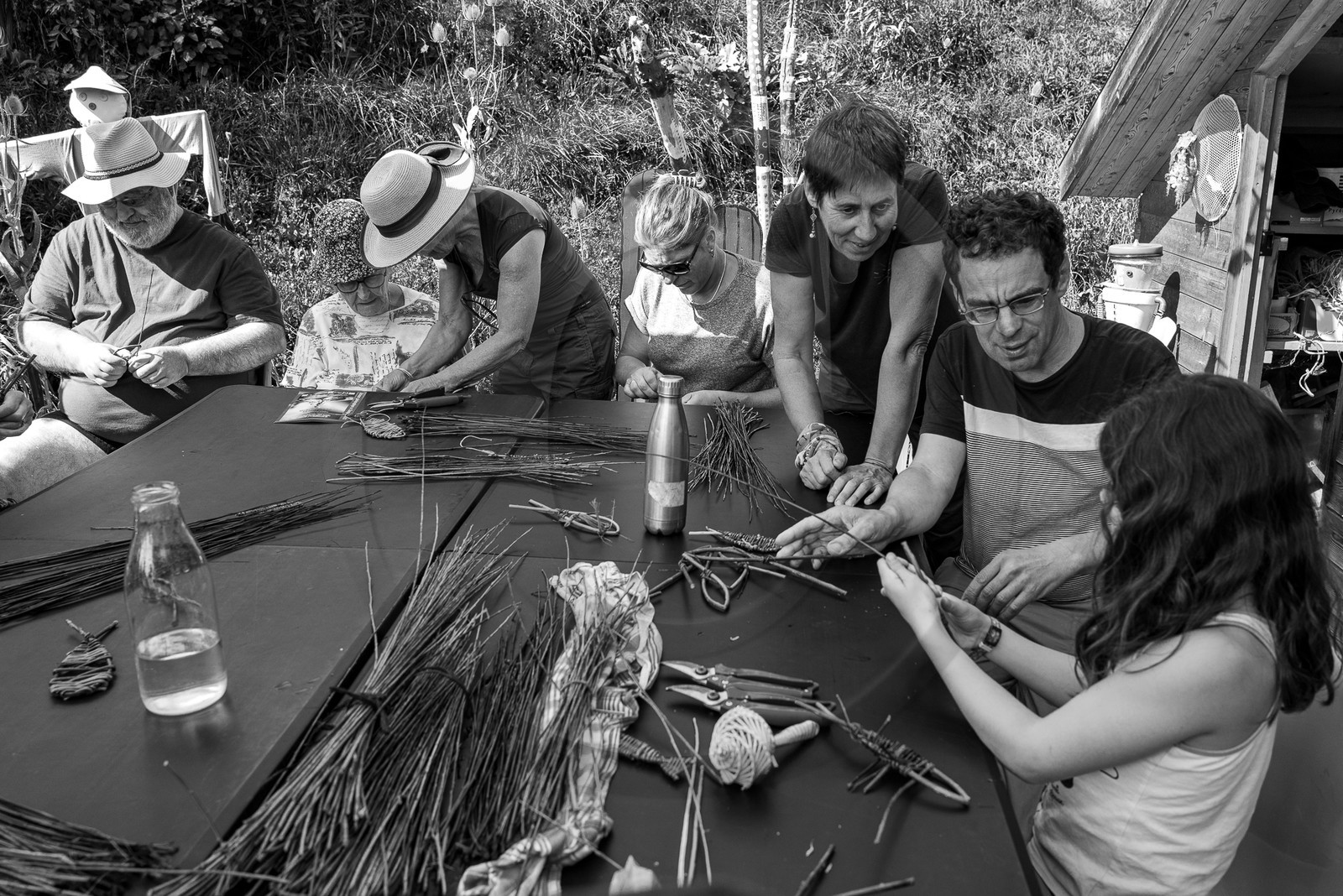 13 septembre 2023 : Osier et HydrOlique