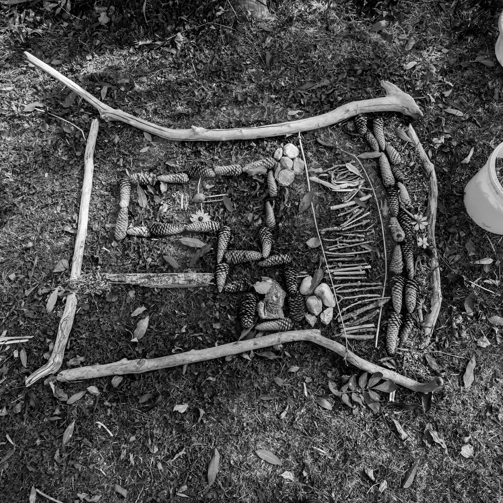 Semis, tournesols et jeux