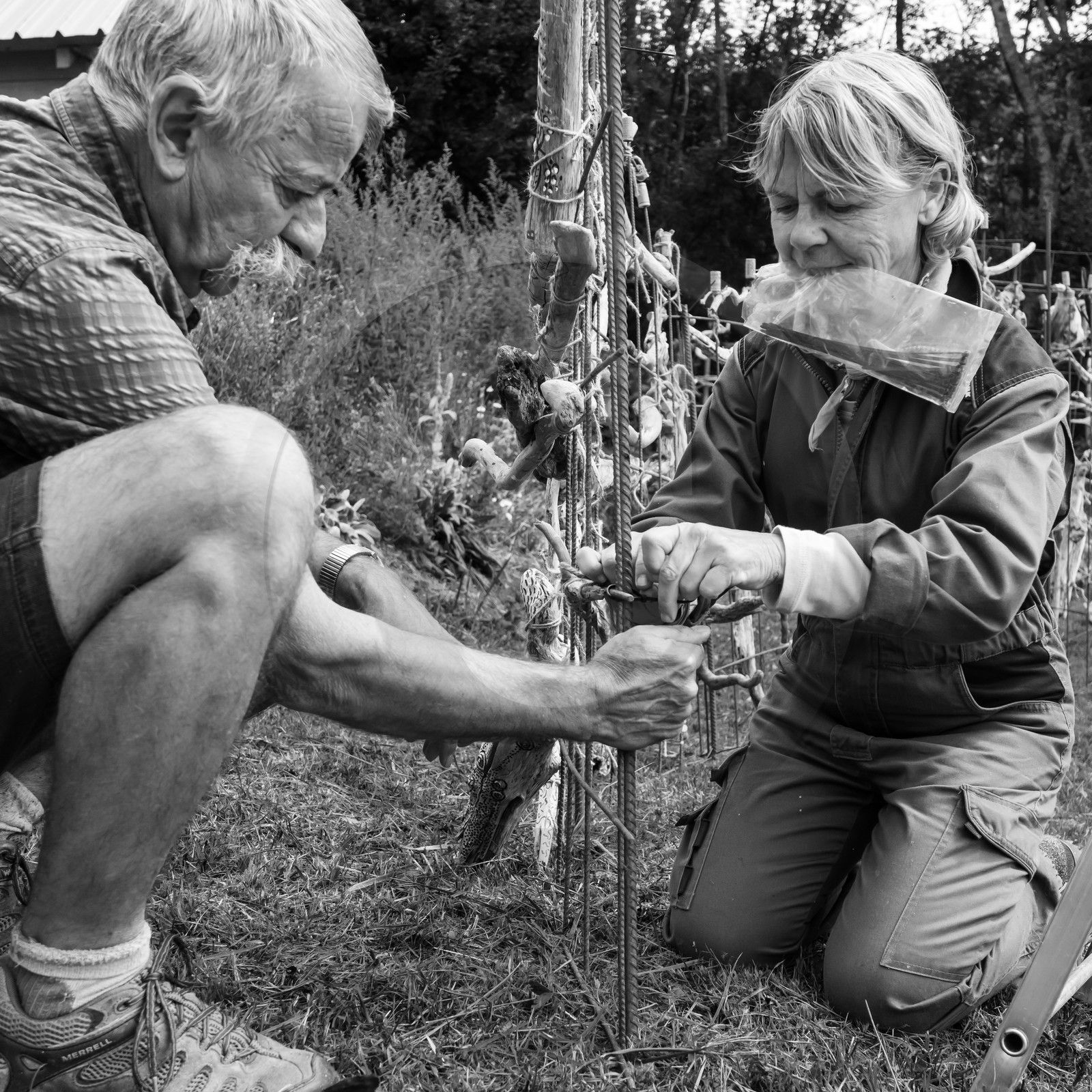 21 août 2019 : installation d'une oeuvre en bois flotté