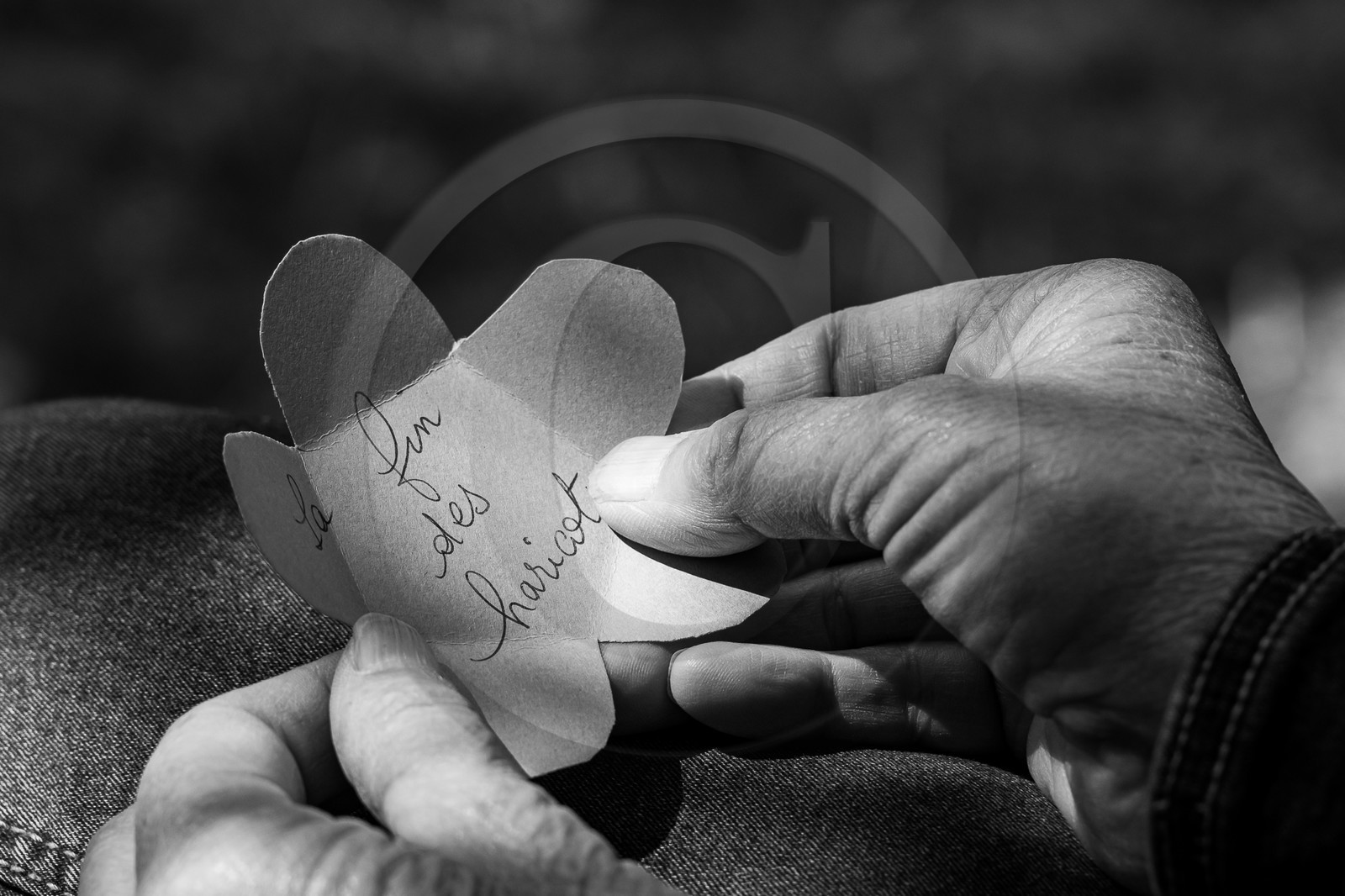 30 août 2023 : Lectures au jardin