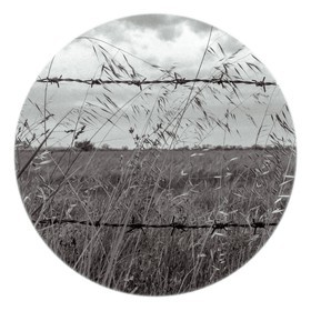 Les instants Camargue