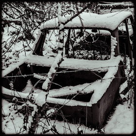 Un cimetière de voitures