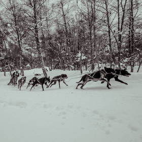 La Valgaude Traineau 2015