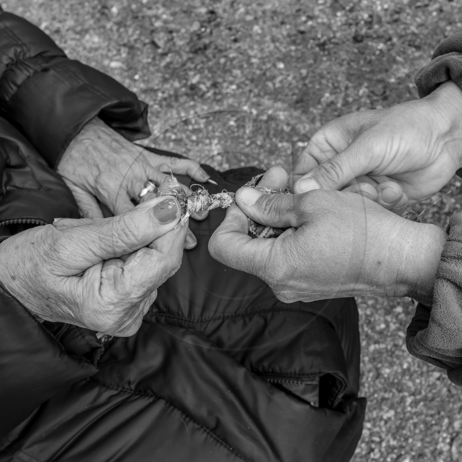 Fabrication de tournesols