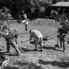 13 septembre 2017 - Chemins - Graines