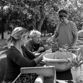 13 septembre 2017 - Chemins - Graines