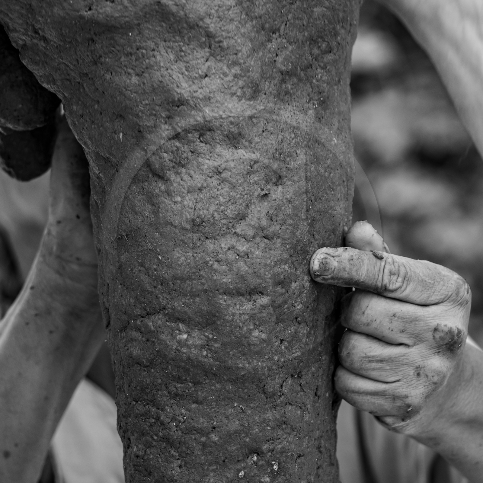 14 aout 2024 : Les ateliers créatifs proposés par l'Ouort au festival  l'Echo des Mots à Saint-Jean-Saint-Nicolas