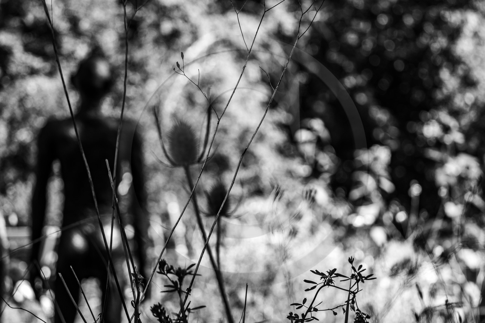 Exposition La forêt d'hommes, une création de Barbara Fougnon, artiste plasticienne