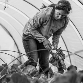 Maraichage biologique dans le Champsaur