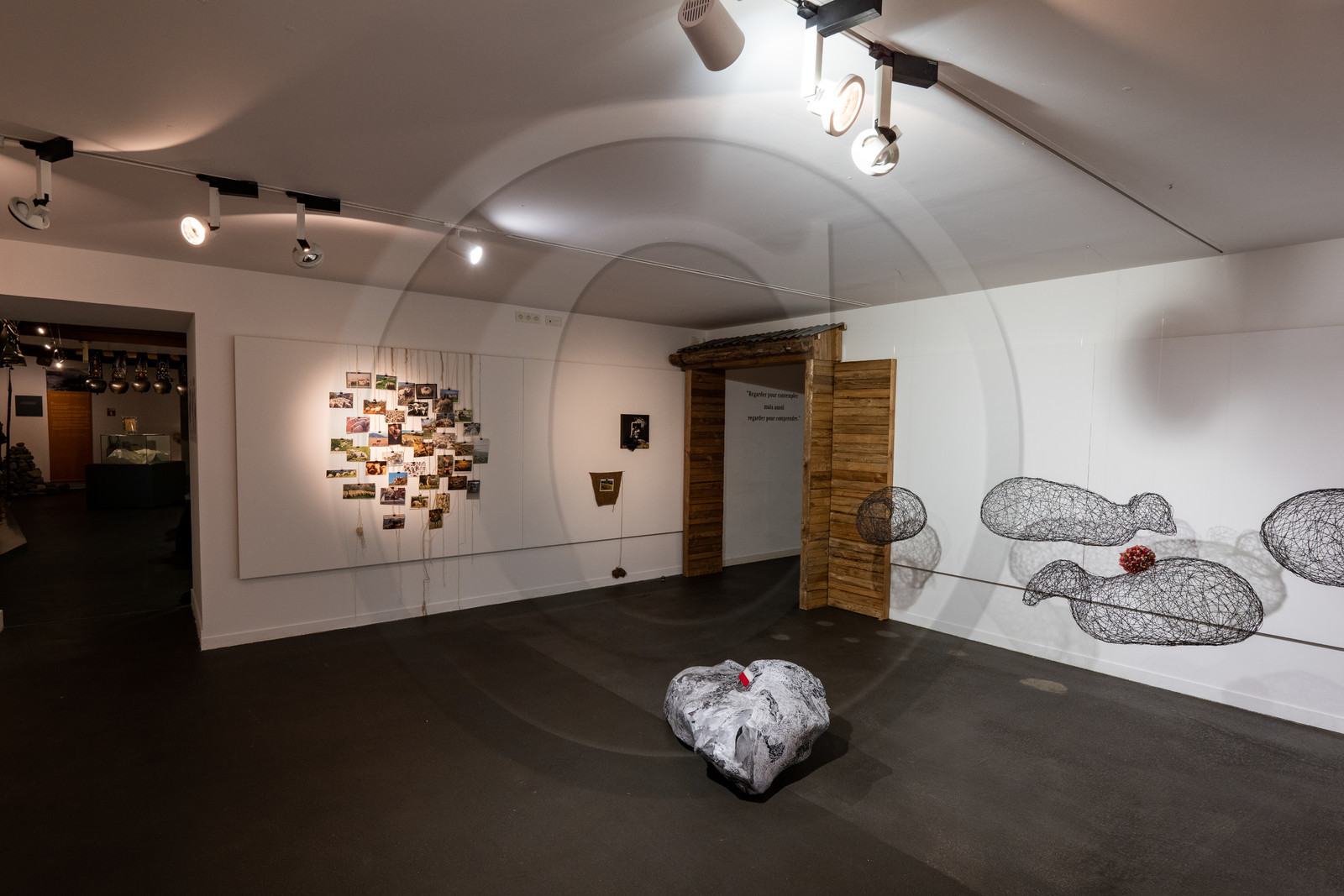 Expositions à la maison du Berger - Champoléon