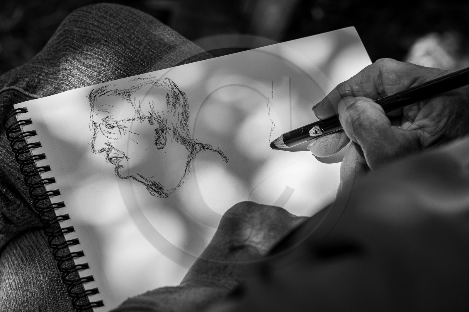 30 août 2023 : Lectures au jardin