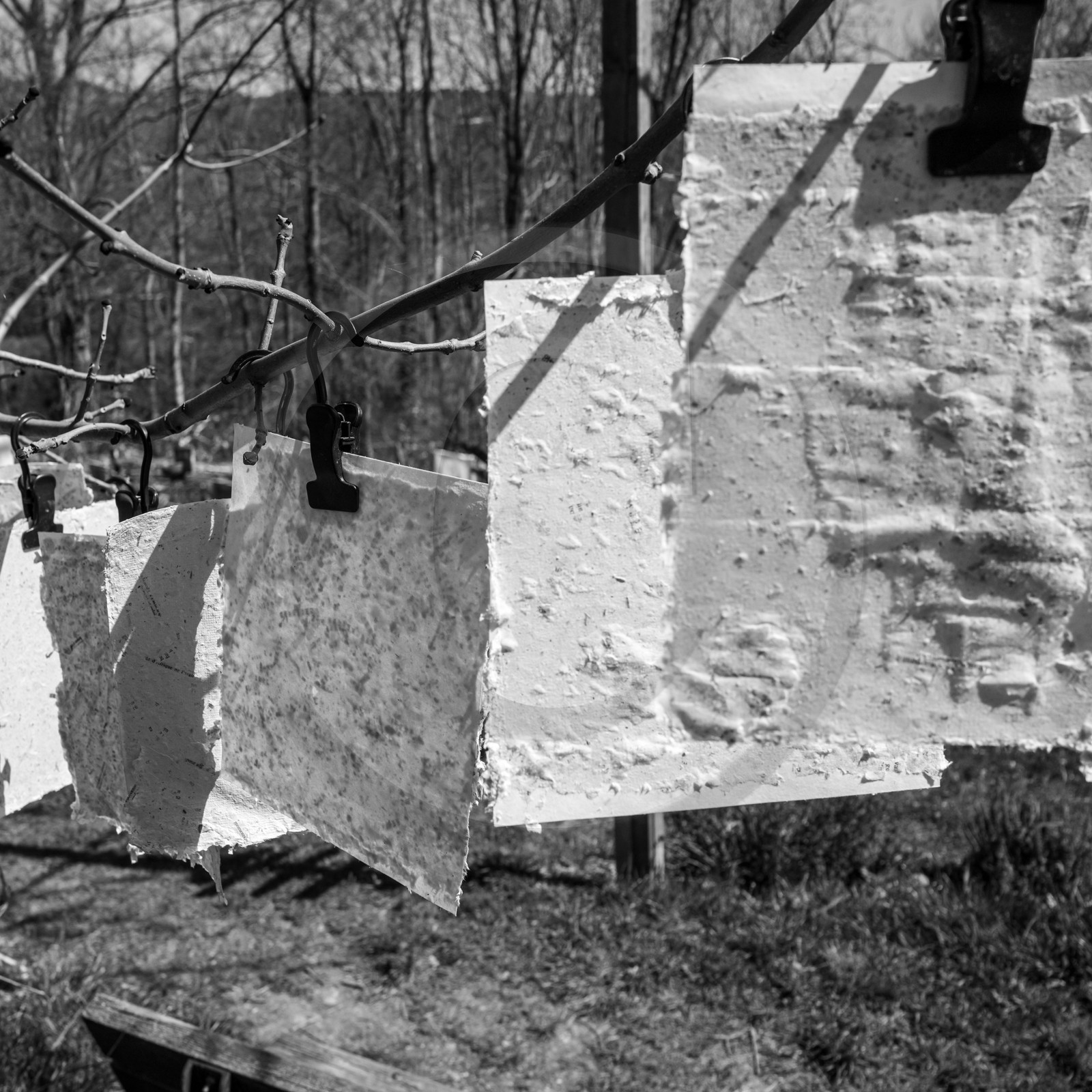 12 avril 2024 : Journée des aidants