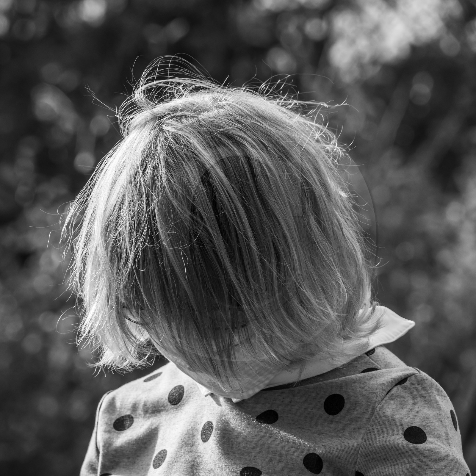 Semis, tournesols et jeux