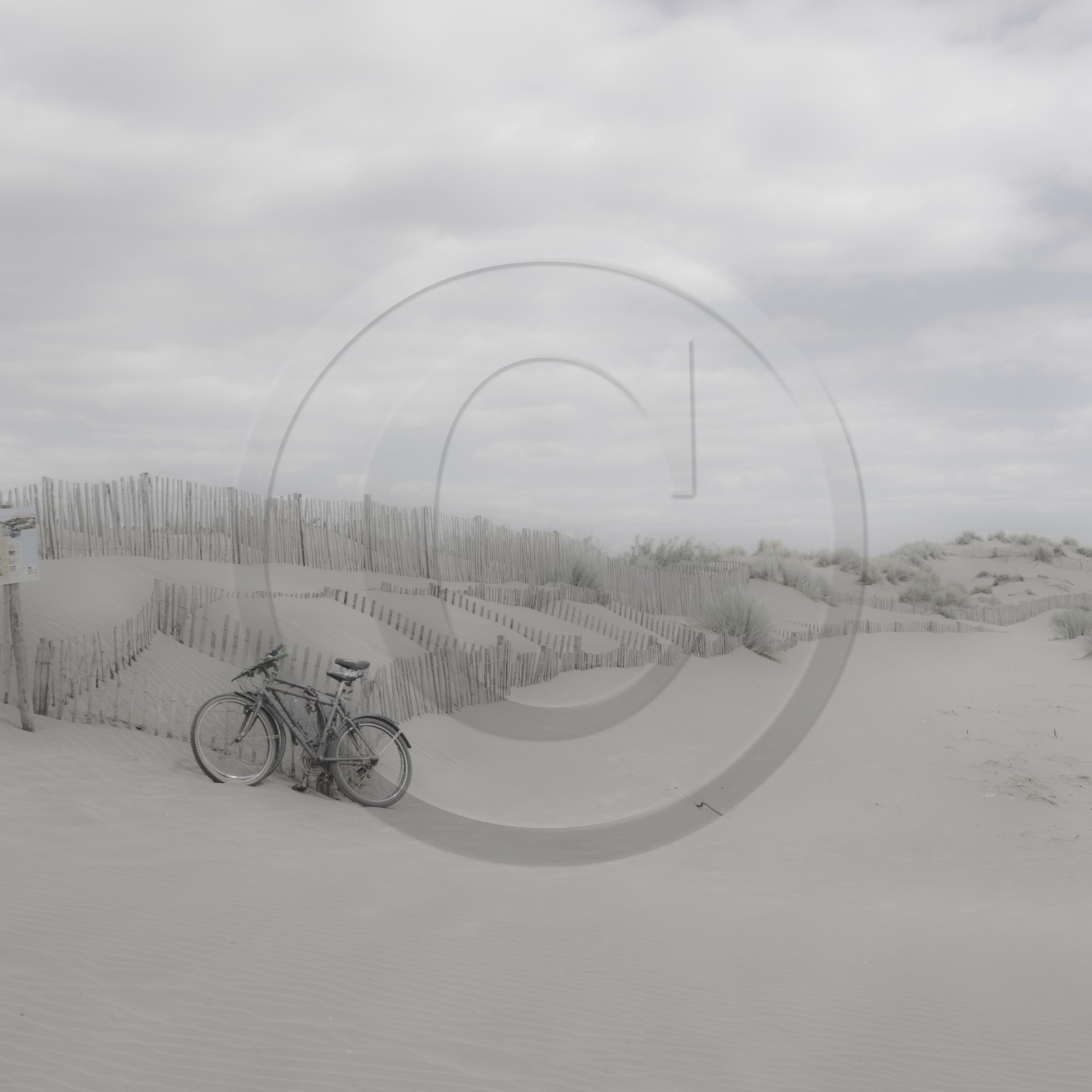 Camargue couleur pastel