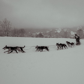 La Valgaude Traineau 2015