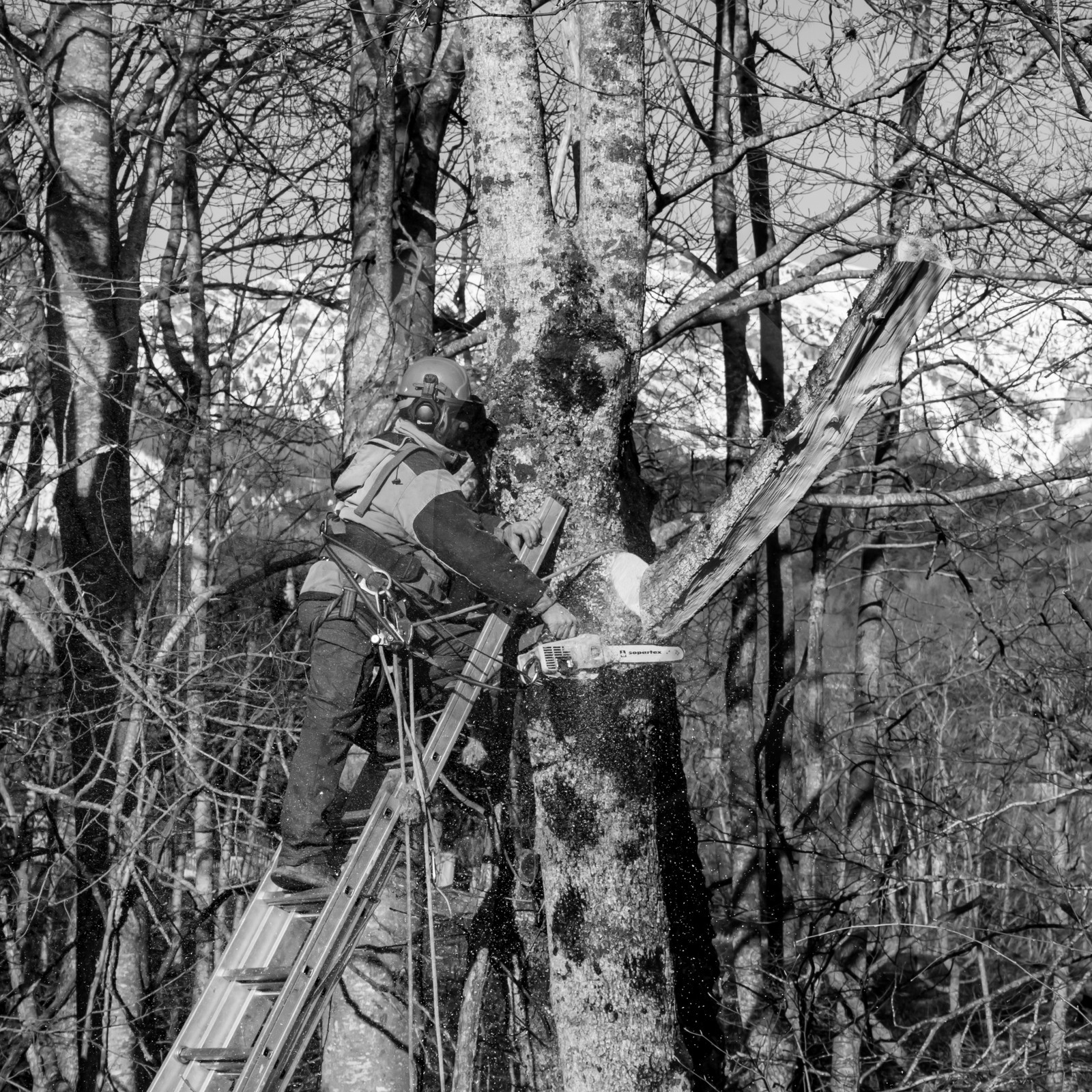 L'Ouort de Bénévent - 08 mars 2017