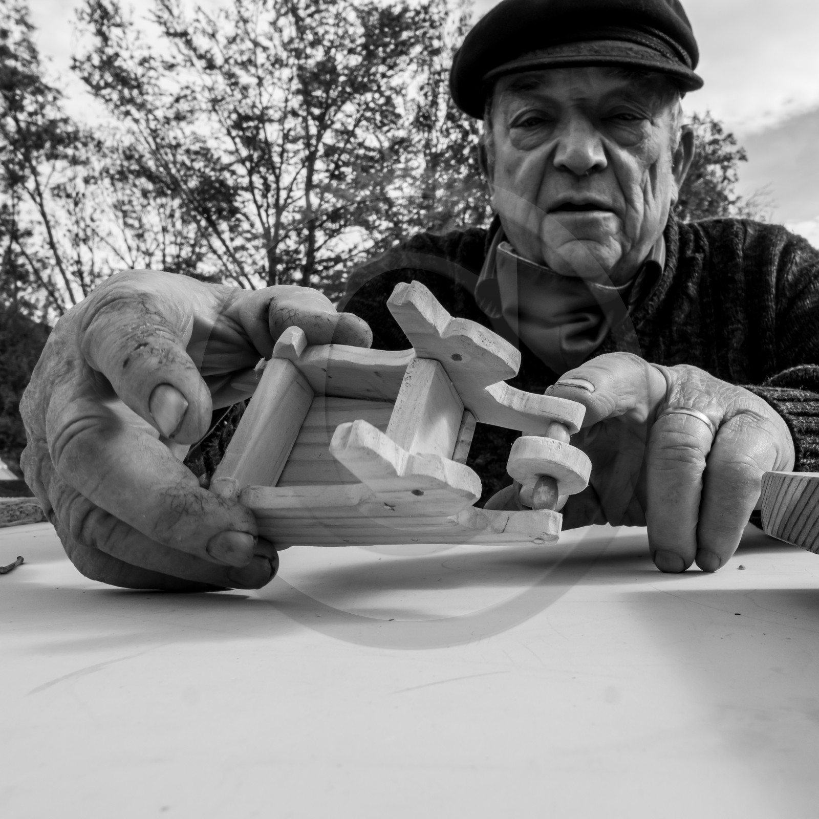Semis, tournesols et jeux